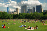 STAY-CATION: NYC